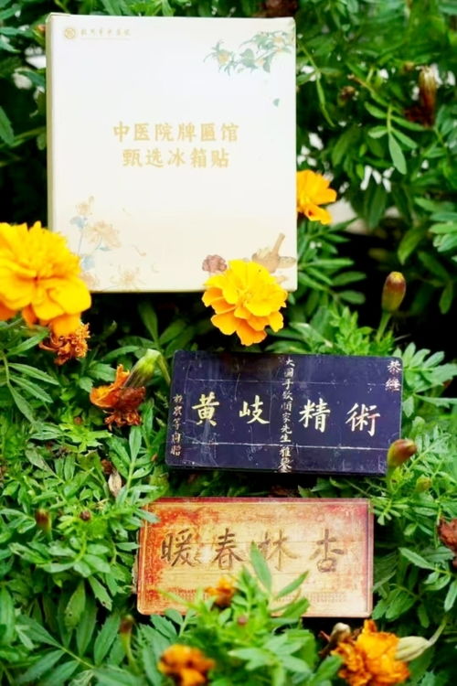 中草药 千年的智慧与未来的希望