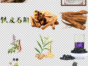 中医中药古代养生药材png免扣素材图片 模板下载 109.25mb 食物饮品 大全 生活工作